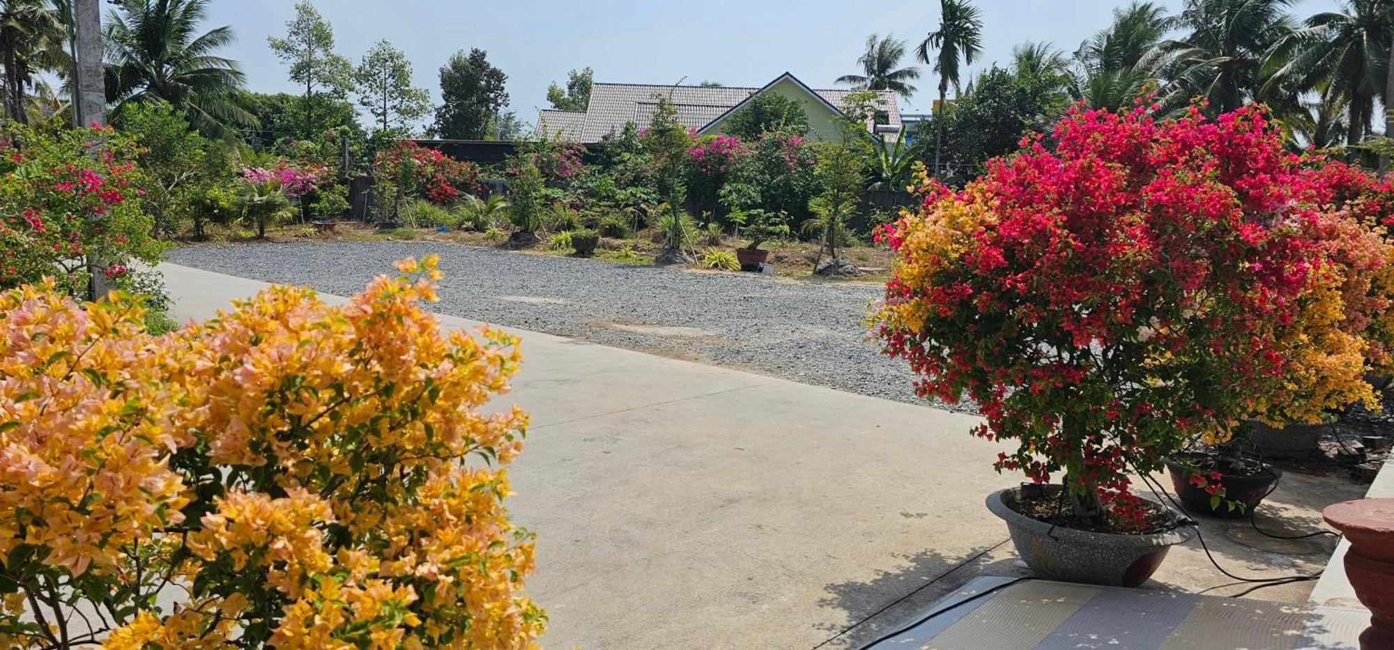 Nha Nghi Truc May Ben Tre Exterior foto